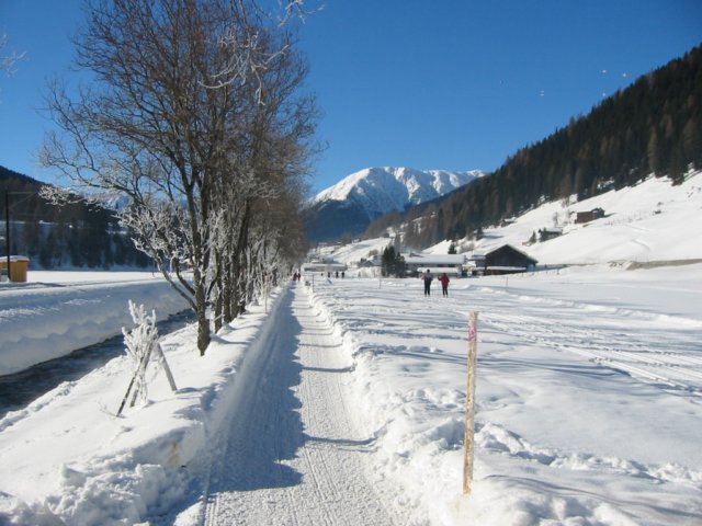 davos3.jpg
