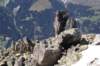 jakobshorn14_small.jpg