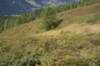 jakobshorn32_small.jpg