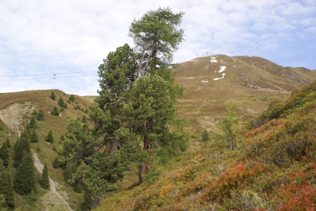 jakobshorn39.jpg