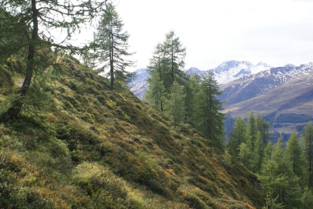 jakobshorn41.jpg