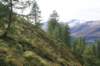 jakobshorn41_small.jpg