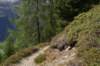 jakobshorn42_small.jpg