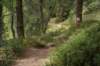 jakobshorn44_small.jpg