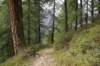 jakobshorn46_small.jpg