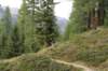 jakobshorn47_small.jpg