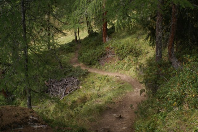jakobshorn48.jpg