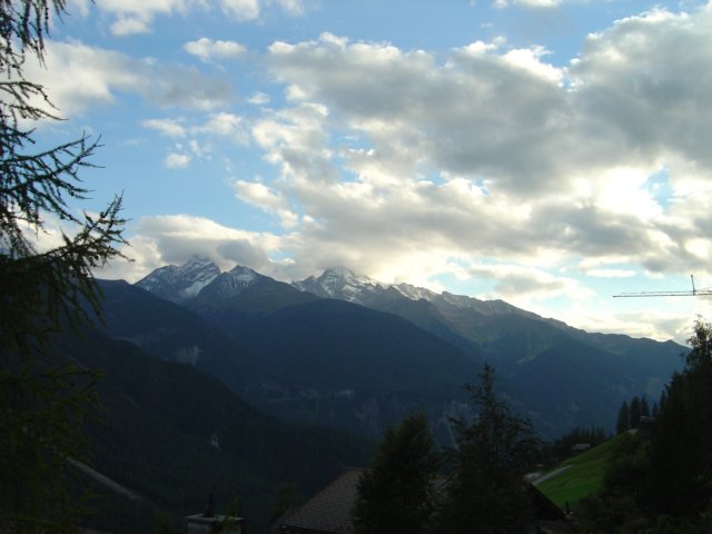 wiesen12.jpg