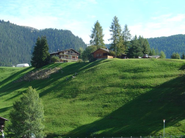 wiesen29.jpg