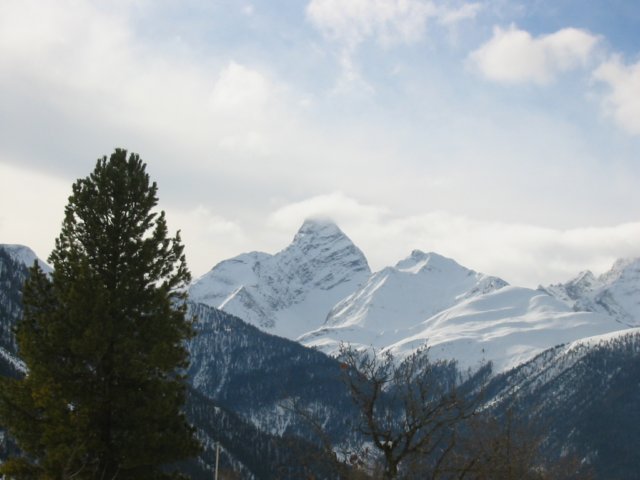 wiesen5.jpg