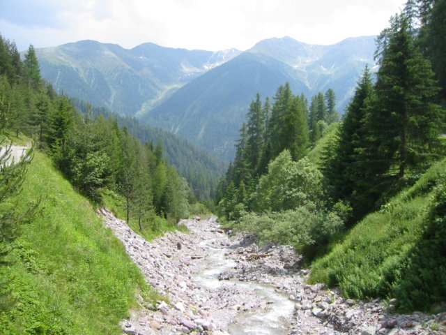wiesen51.jpg