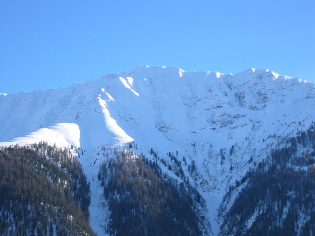 wiesen7.jpg