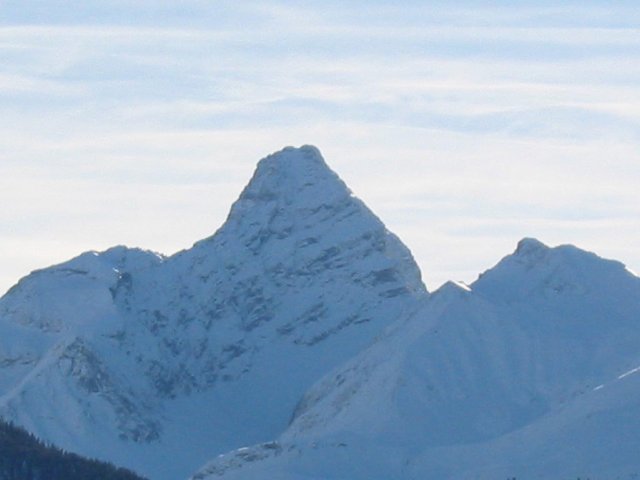 wiesen9.jpg